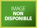 Award image not available.